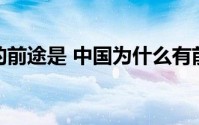 中国凭什么成为汽车进口第一大国|！ (中国凭什么成为五常)