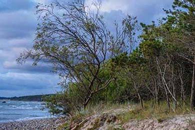 神秘的北纬三十度现象,神秘的北纬三十度现象解释