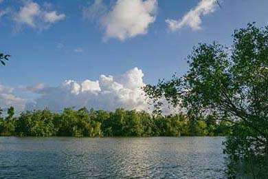 现象学社会工作,社会现象学书籍