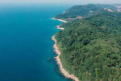 关于大自然现象的词语,描写大自然现象的词语有哪些